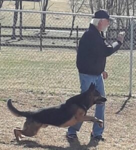 The Dogman & Cooper Playing