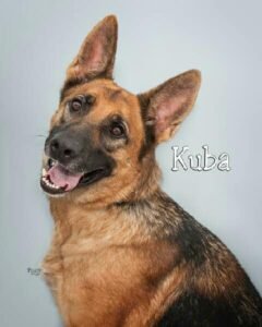 Kuba rescued by MRK9