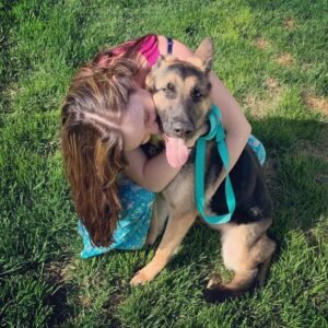 Shelby is a beautiful German Shepherd rescued by MRK9.